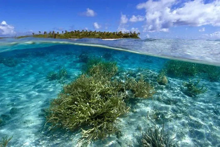 Framed Print : Pacific, Ailuk atoll, Marshall Islands, Split image of staghorn coral, Acropora sp. and uninhabited island