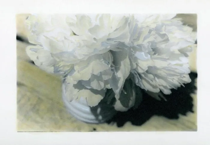 Framed Print : Painted photograph of a peony bouquet on photographic barite paper Framed Print : Painted photograph of a peony bouquet on photographic barite paper