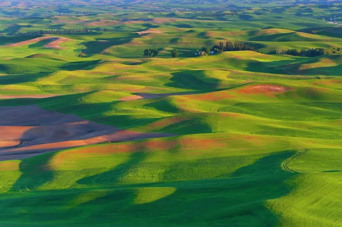 Framed Print : Palouse farmlands from Steptoe Butte in WA, USA