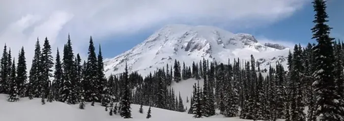 Framed Print : Paradise in Snow Inside Mount Rainer National Park Framed Print : Paradise in Snow Inside Mount Rainer National Park