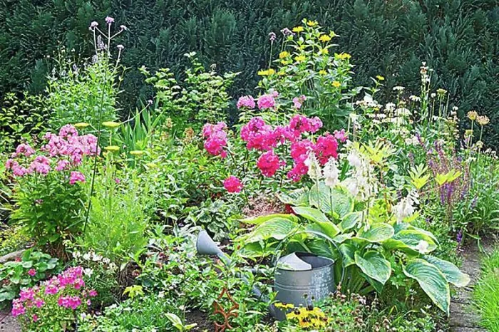 Framed Print : Perennial bed in summer Framed Print : Perennial bed in summer