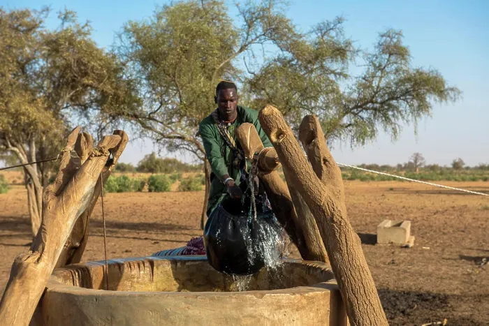 Framed Print : Peul cattle herder fetching water from a well. Senegal Framed Print : Peul cattle herder fetching water from a well. Senegal