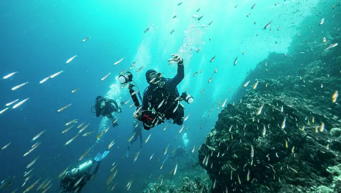 Framed Print : photographer leading group of people under water at the Andaman Sea Framed Print : photographer leading group of people under water at the Andaman Sea
