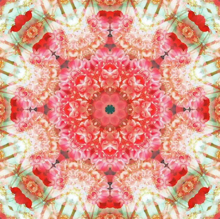 Framed Print : photographic flowers mandala Framed Print : photographic flowers mandala