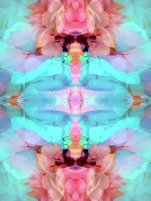Framed Print : photographic flowers mandala