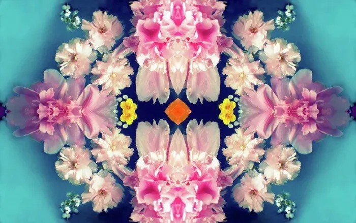 Framed Print : photographic flowers mandala
