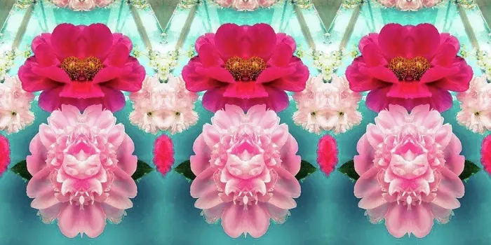 Framed Print : photographic flowers ornament Framed Print : photographic flowers ornament