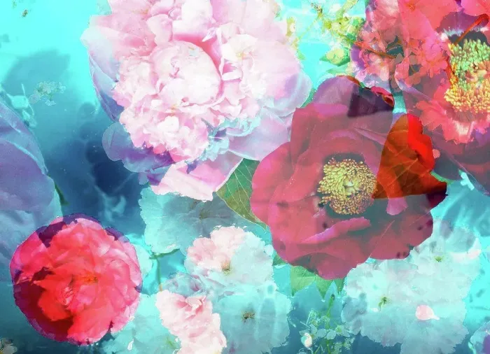 Framed Print : photomontage, multiple exposure, flowers, detail