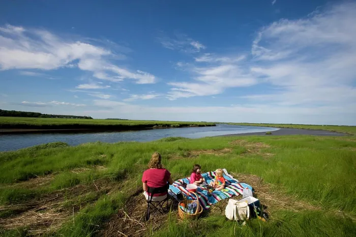 Framed Print : A picnic next to a tidal estuary in Plum Island Sound Massachusetts USA (MR) Framed Print : A picnic next to a tidal estuary in Plum Island Sound Massachusetts USA (MR)
