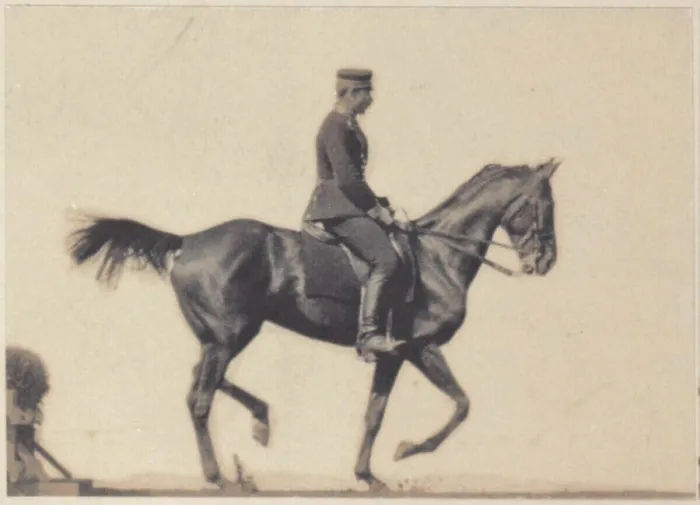 Framed Print : Platinotype print depicting a show rider on horseback in motion, mounted on two cardboard supports, created circa 1890 Framed Print : Platinotype print depicting a show rider on horseback in motion, mounted on two cardboard supports, created circa 1890