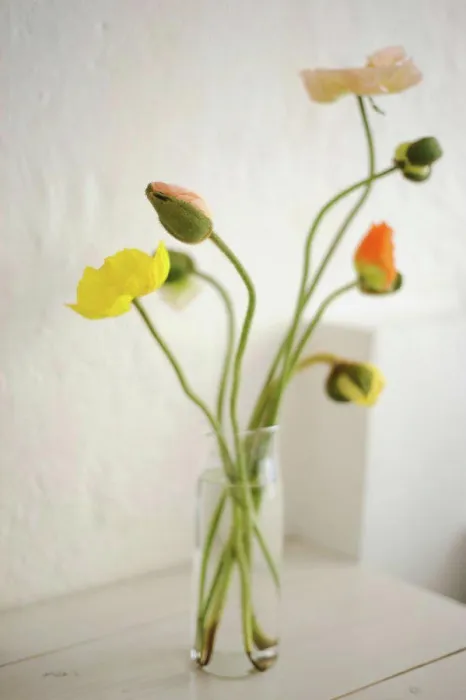 Framed Print : Poppy flowers in vase, close up Framed Print : Poppy flowers in vase, close up