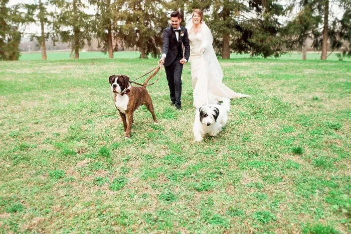 Framed Print : Portrait of bride and bridegroom with their dogs Framed Print : Portrait of bride and bridegroom with their dogs