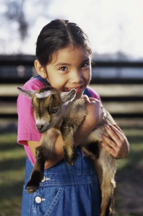 Framed Print : Portrait of a girl holding a kid goat in her arms Framed Print : Portrait of a girl holding a kid goat in her arms