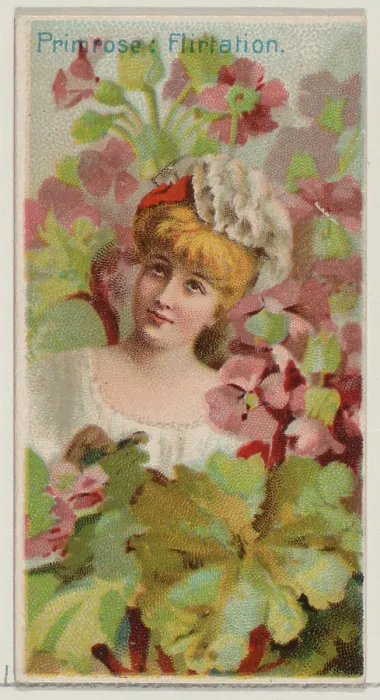 Framed Print : Primrose: Flirtation Framed Print : Primrose: Flirtation