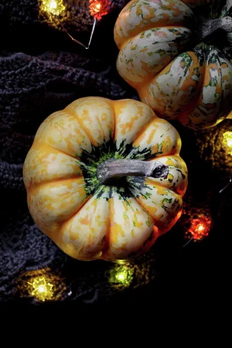 Framed Print : Pumpkin