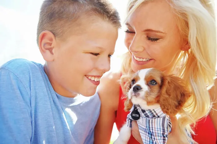 Framed Print : Puppy, care and trust with family in park for pet training