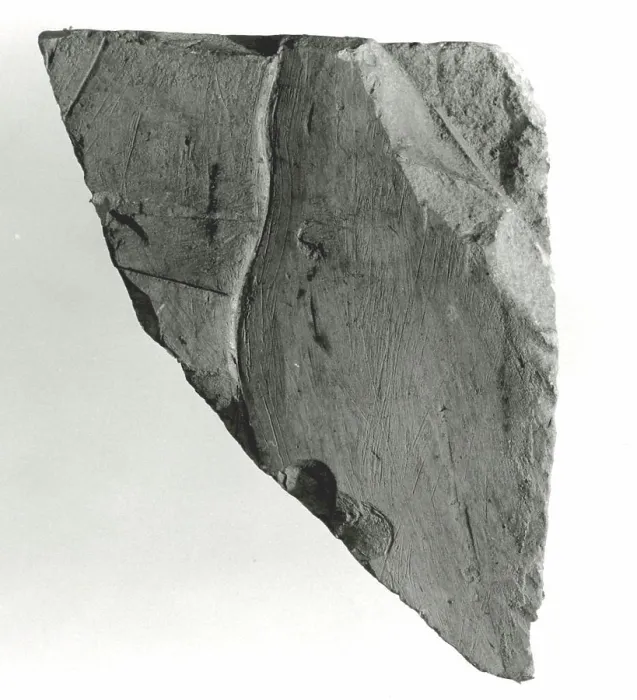 Framed Print : Raised relief fragment 664-610 B Framed Print : Raised relief fragment 664-610 B