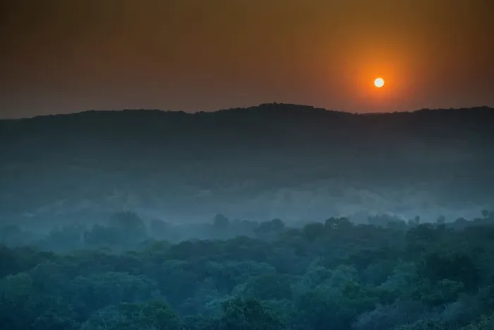 Framed Print : Ranthambhore National Park forest at sunset Ranthambhore Rajasthan India Framed Print : Ranthambhore National Park forest at sunset Ranthambhore Rajasthan India