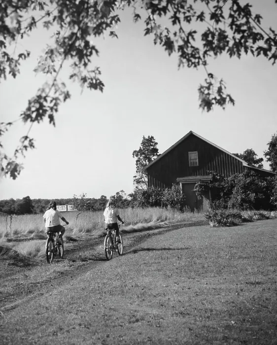 Framed Print : Rear view of two girls riding bicycles Framed Print : Rear view of two girls riding bicycles