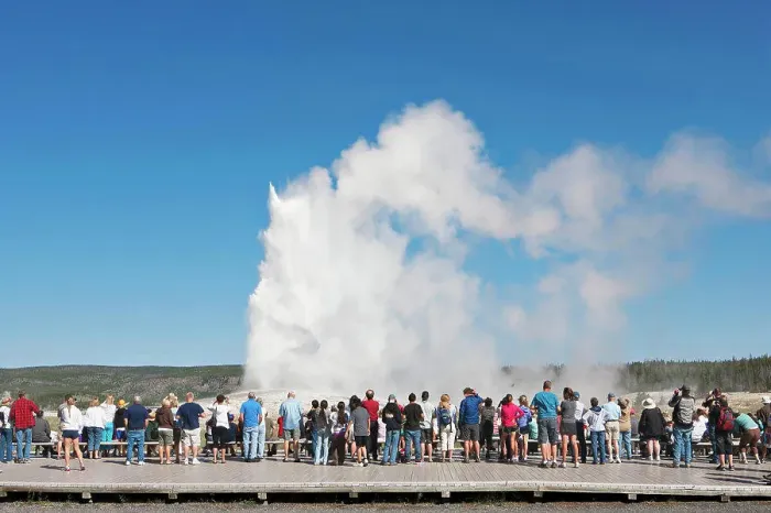 Framed Print : Rear view of tourists looking at geyser in Yellowstone Park Framed Print : Rear view of tourists looking at geyser in Yellowstone Park