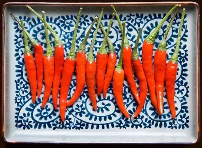 Framed Print : Red Hot Chilli Peppers Framed Print : Red Hot Chilli Peppers