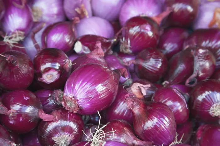 Framed Print : Red onions for sale at the open air market held in Bergerac, France Framed Print : Red onions for sale at the open air market held in Bergerac, France