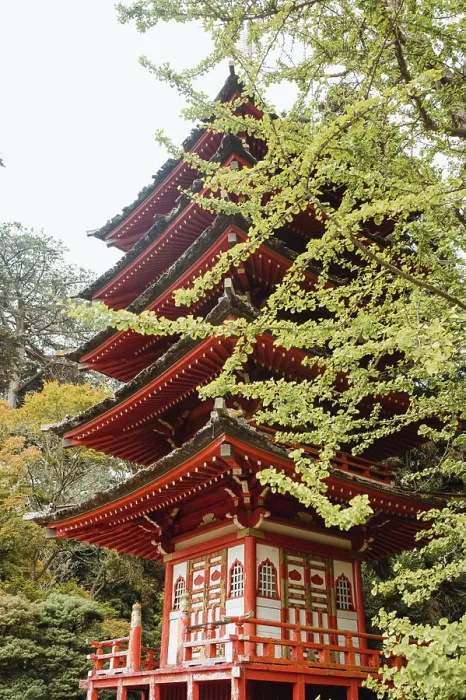 Framed Print : Red ornamental Japanese pagoda surrounded by green trees in park in San Francisco Framed Print : Red ornamental Japanese pagoda surrounded by green trees in park in San Francisco
