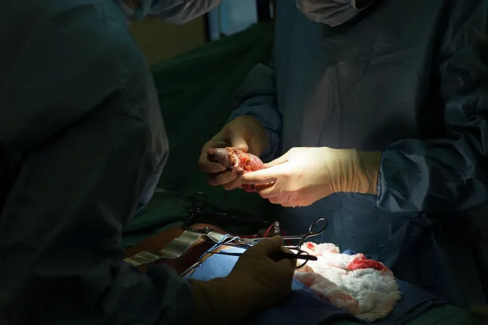 Framed Print : Reportage on a kidney transplant in the urology service of Nice Hospital