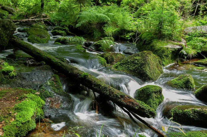 Framed Print : River in Bavaria, Germany Framed Print : River in Bavaria, Germany