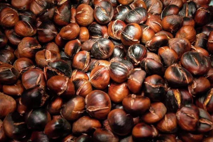 Framed Print : Roasted chestnuts mercado La Boqueria Market