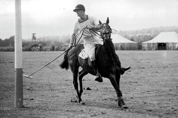 Framed Print : A Royal Polo Enthusiast -- H.R Framed Print : A Royal Polo Enthusiast -- H.R