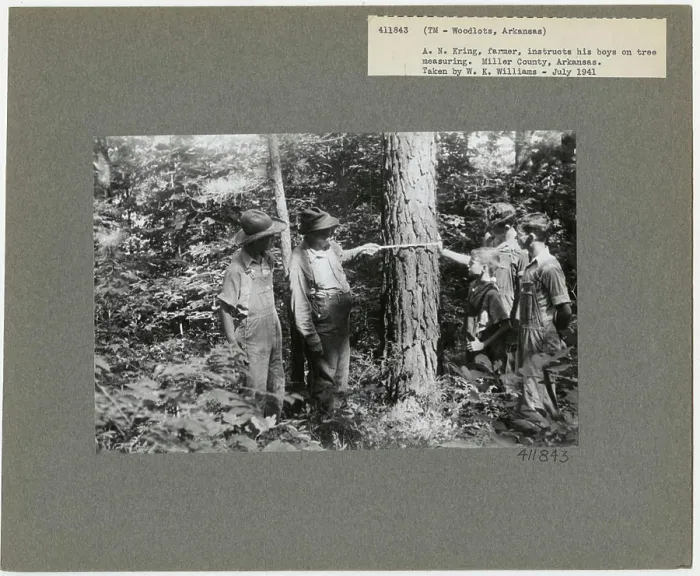 Framed Print : S & PF - Arkansas. Photographs Relating to National Forests