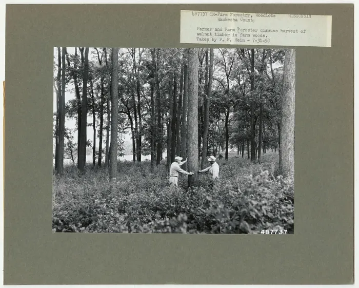 Framed Print : S & PF - Wisconsin. Photographs Relating to National Forests Framed Print : S & PF - Wisconsin. Photographs Relating to National Forests