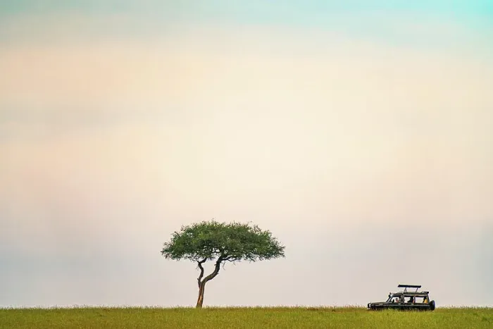 Framed Print : Safari vehicle driving past a Acacia tree in the Maasai Mara in Kenya Framed Print : Safari vehicle driving past a Acacia tree in the Maasai Mara in Kenya