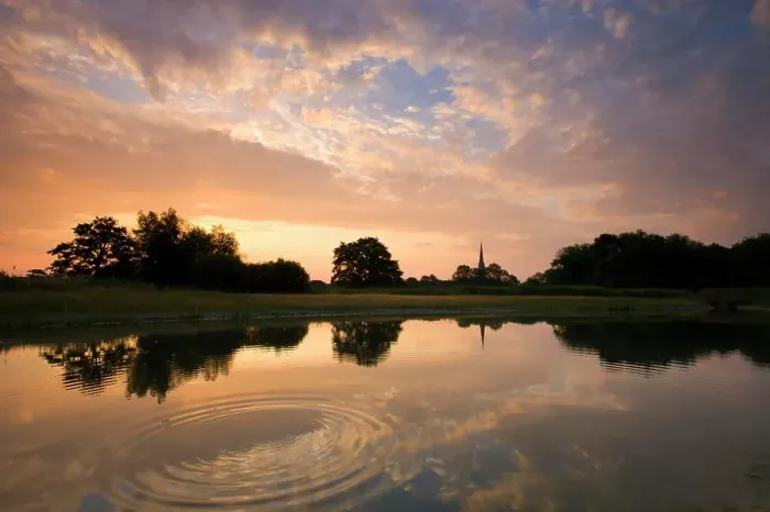 Framed Print : Salisbury Cathedral reflected in a pond at dawn, Salisbury, Wiltshire, England, United Kingdom, Europe