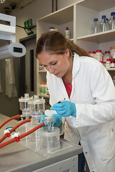 Framed Print : Scientist of biology at a laboratory filter unit in the genetic engineering section of the laboratories of Framed Print : Scientist of biology at a laboratory filter unit in the genetic engineering section of the laboratories of