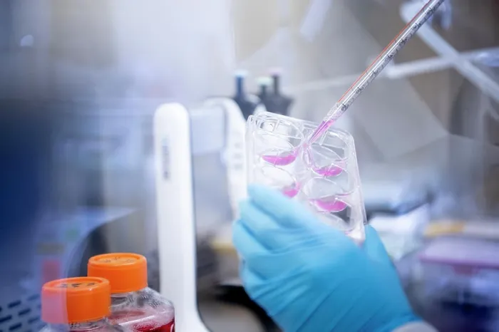 Framed Print : Scientist pipette pink fluid into trays at a biotech lab under a Framed Print : Scientist pipette pink fluid into trays at a biotech lab under a