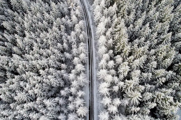 Framed Print : Scotland, snow on pine trees, empty road Framed Print : Scotland, snow on pine trees, empty road