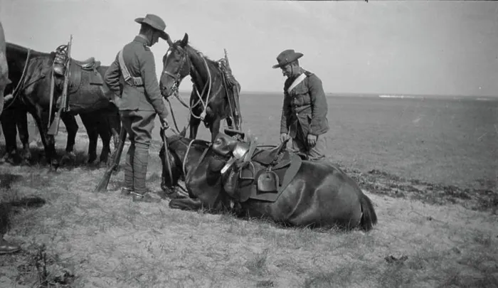 Framed Print : The Second Boer War, 1899-1902 Officers of the Lothians and Berwickshire Yeomanry tending their horses