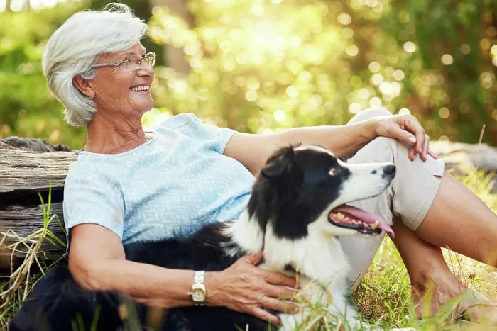 Framed Print : Senior woman, dog and hug in forest to relax for smile Framed Print : Senior woman, dog and hug in forest to relax for smile