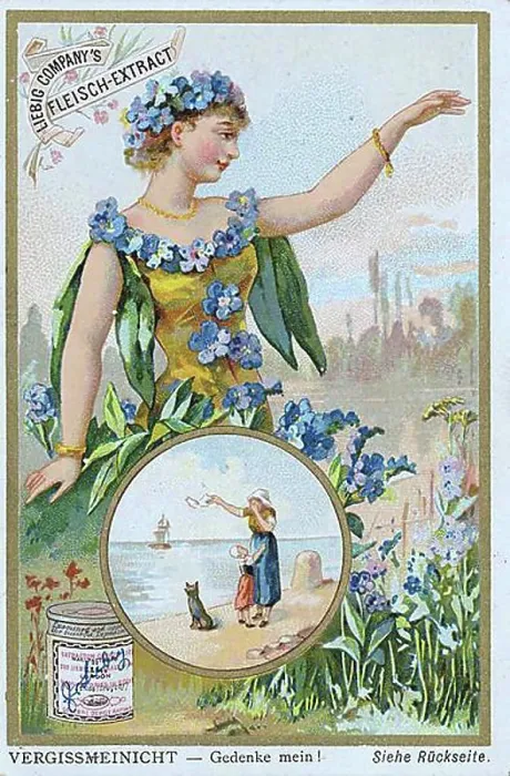 Framed Print : Series of symbols of flowers related to persons Framed Print : Series of symbols of flowers related to persons
