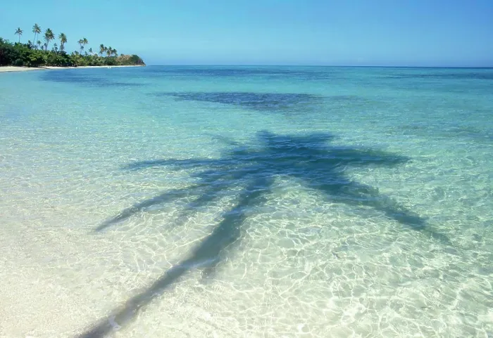 Framed Print : Shadows of palm tree on tropical water on coastline of Island