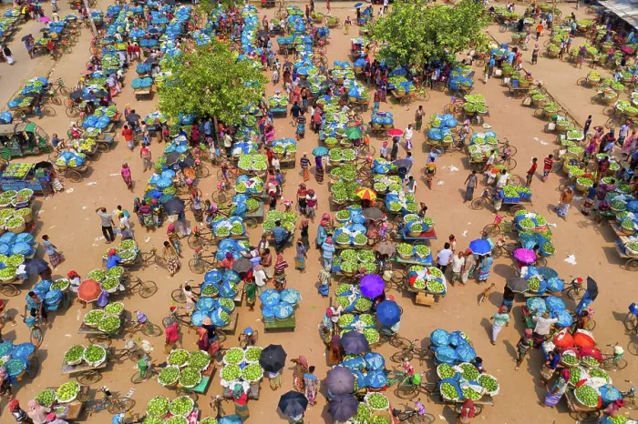 Framed Print : Shibganj, Bangladesh - 14 June 2019: Aerial view of a few people working at Kansat mango Bazar Framed Print : Shibganj, Bangladesh - 14 June 2019: Aerial view of a few people working at Kansat mango Bazar