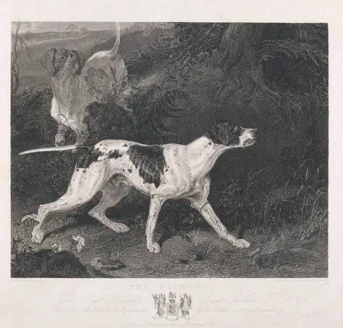 Framed Print : Shooting Pointer Print Commenced John Scott 1774-1828