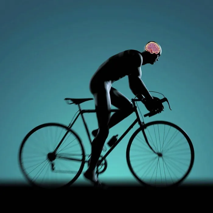 Framed Print : Silhouetted male figure cycling a bicycle with internal anatomy of the brain visible within the head Framed Print : Silhouetted male figure cycling a bicycle with internal anatomy of the brain visible within the head