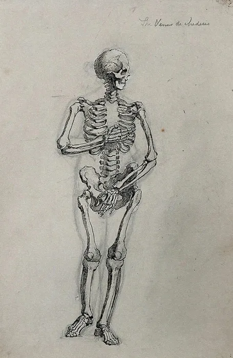 Framed Print : A skeleton in the pose of the Venus de Medici. Pen and ink drawing Framed Print : A skeleton in the pose of the Venus de Medici. Pen and ink drawing