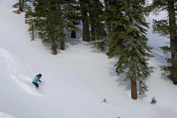 Framed Print : A skier descends a snowy slope through deep powder on a beautiful day in Kirkwood, California