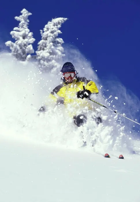 Framed Print : Skier skiing fresh deep powder at Fernie Alpine Resort, East Kootenays, British Columbia, Canada Framed Print : Skier skiing fresh deep powder at Fernie Alpine Resort, East Kootenays, British Columbia, Canada