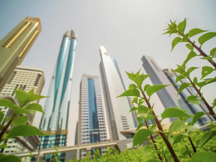 Framed Print : Skyscrapers against the background of flowering flowers on Sheikh Zayed Road in Dubai Framed Print : Skyscrapers against the background of flowering flowers on Sheikh Zayed Road in Dubai