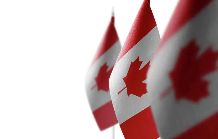 Framed Print : Small national flags of the Canada on a white background Small national flags of the Canada on a white background Framed Print : Small national flags of the Canada on a white background Small national flags of the Canada on a white background